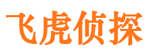 当雄侦探公司